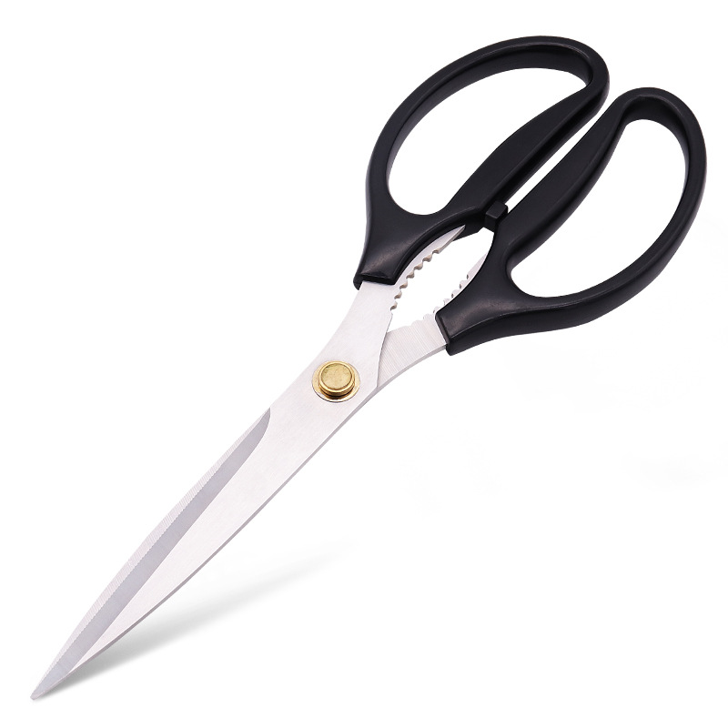 BarbecueScissors Baby Compleme - Baby Food Scissors บทวิจารณ์และราคา