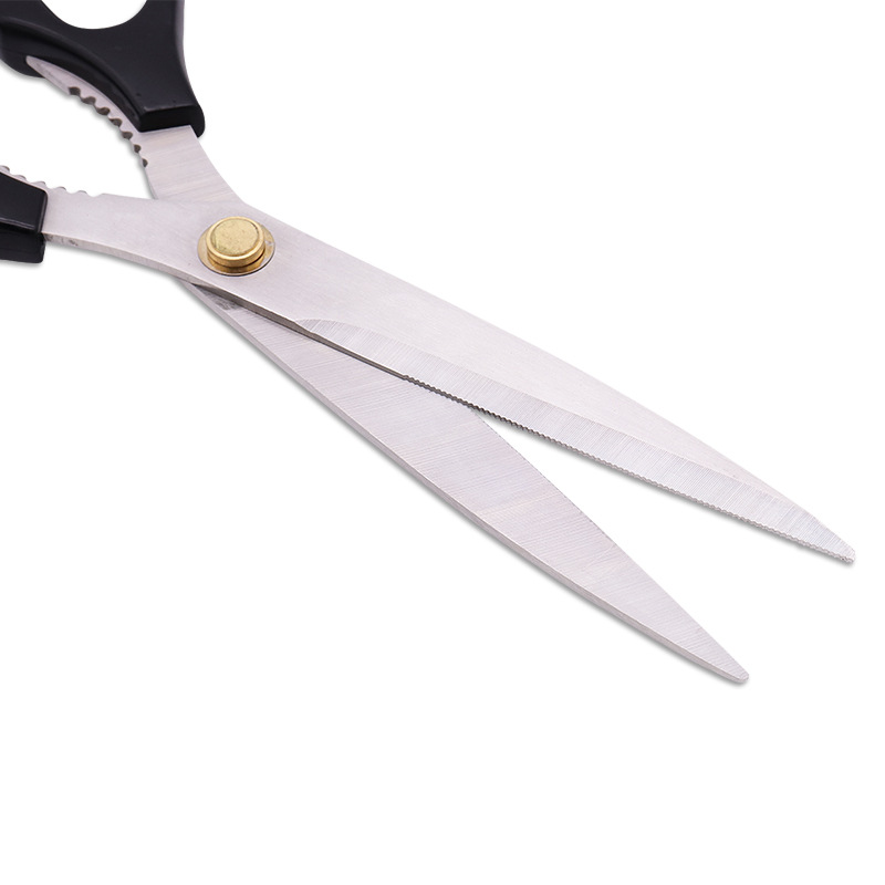 BarbecueScissors Baby Compleme - Baby Food Scissors บทวิจารณ์และราคา